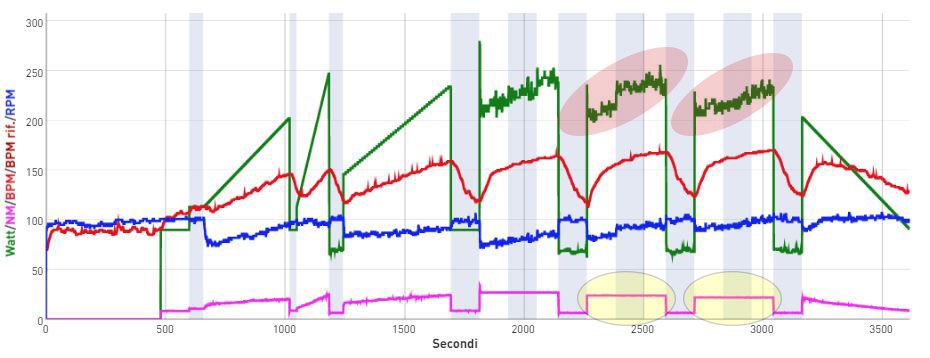 rpm_variabili_e_newton_fissi_1