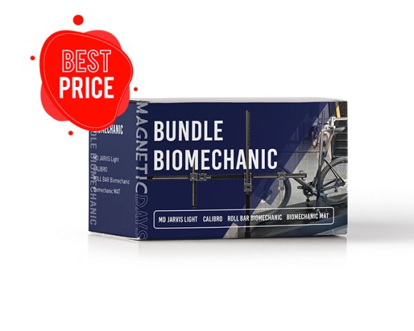 BUNDLE BIOMECHANICS