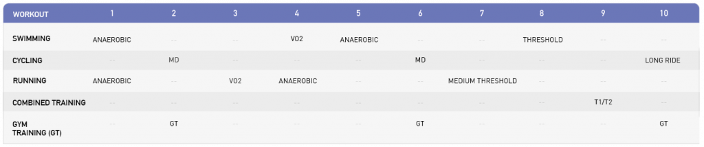 Training Schedule Ironman | Ironman Triathlon 2